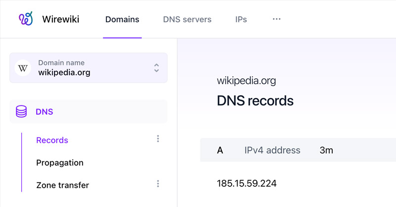 Screenshot of Wirewiki showing DNS records for a domain name